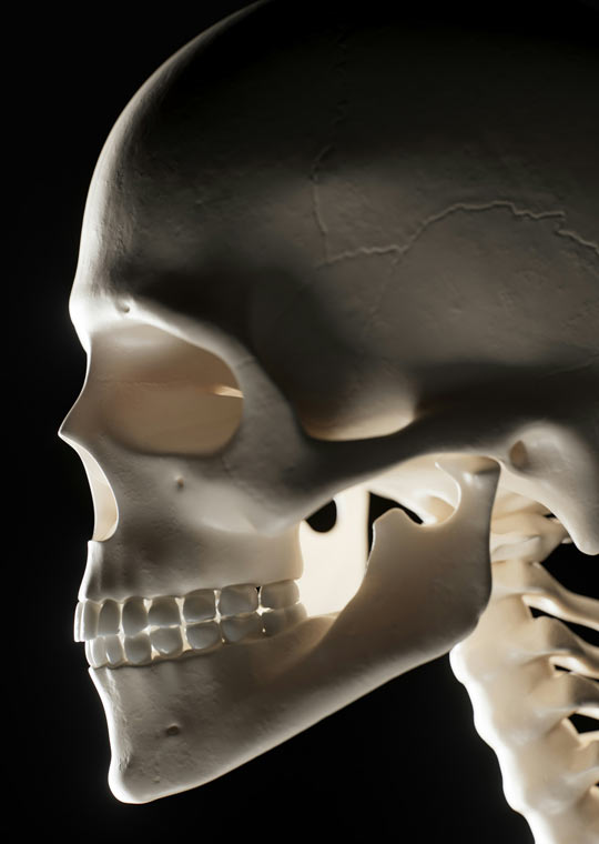 LCU - Temporomandibular Joint