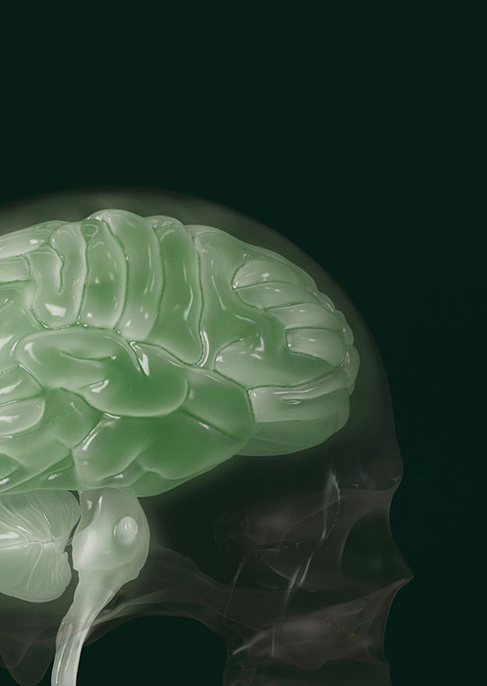 Brain - London Craniofacial Unit