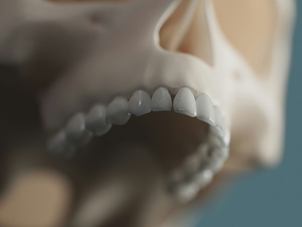 LCU - About Oral & Maxillofacial Surgery