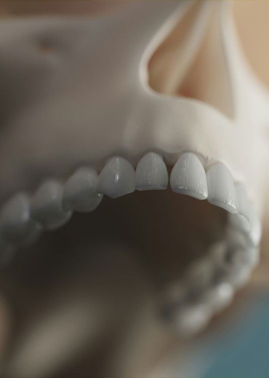 LCU - About Oral & Maxillofacial Surgery
